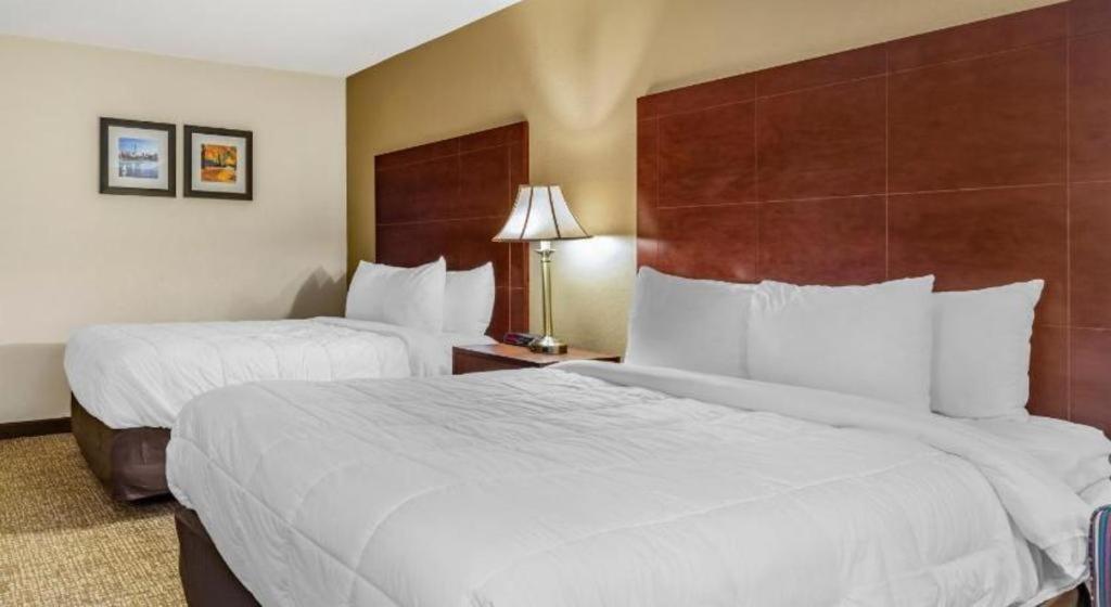 Comfort Inn Foxboro - Mansfield Foxborough Exterior foto