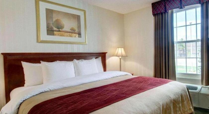 Comfort Inn Foxboro - Mansfield Foxborough Exterior foto